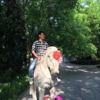 国倾城