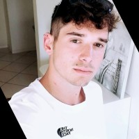 Leonardo Voltan