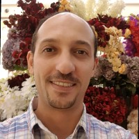 Walid Bashandy