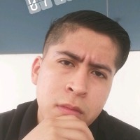 Luis Mario Arguelles Castillo