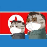 孙春洋