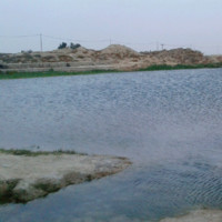 hossein f