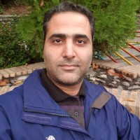 Mohsen Faridmehr