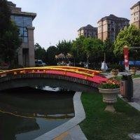 朱盛杰