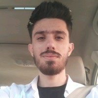 Fardin Kamali
