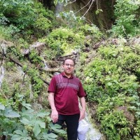 Mohammad Ahmadi Safa