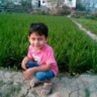 Md Ali Hossain