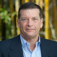 David Levy
