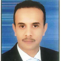 Alaa Abd El Rady Mohamed