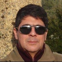 João Falcão Ribeiro