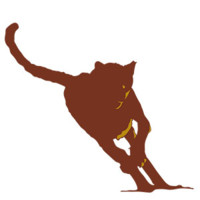Zakale Expeditions