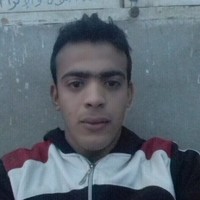 عبدالحليم على