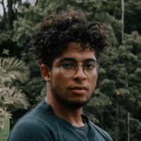 Fernando Henrique Ferreira dos Santos