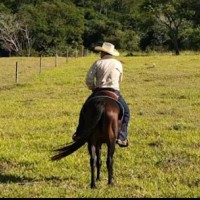 André Fazenda Nossa Senhora das Graças