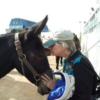 Sharon Friedman