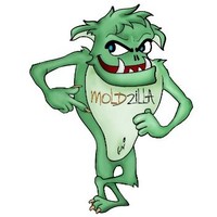 Moldzilla -Mold Experts-