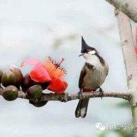 孙旭芳