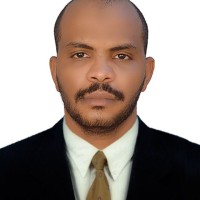 Ahmed Abdelrahim