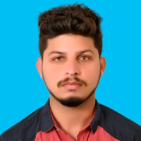Syed Mohsin Raza
