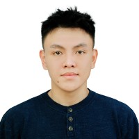Dang Nguyen The