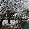 최수안