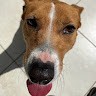 Alonso S