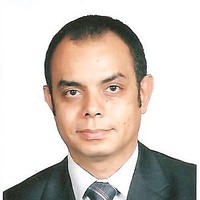 Hisham E. Haikal