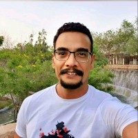 Magdy Ali