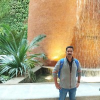 Praveen K