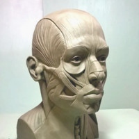 Fernando José Poletti