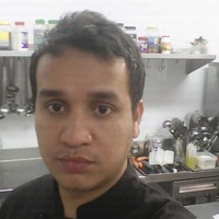 Alejandro Hernandez Mollegas