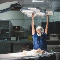 Sandra López Mínguez