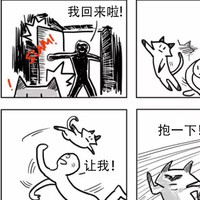 吴静瑕