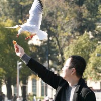 贾东阳