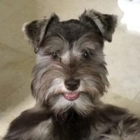 Coco Bo