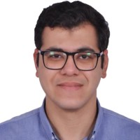 Mohamed Walid