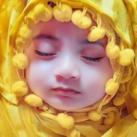 Md Alomgir Hussain
