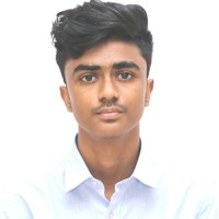 partha b