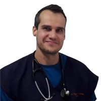 Tiago José Hanauer
