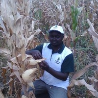 Mwololo P. Mutua