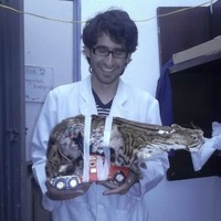 Jeisson Danilo Castro Salamanca