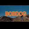 BOBDOG JEELO