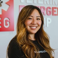 Lauren Dang