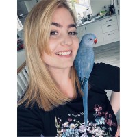Johanna Bronkhorst