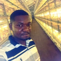 Oluwatobi Adesina