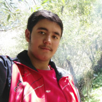 Yousef Honarmand