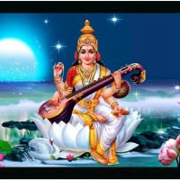 Satyam S.