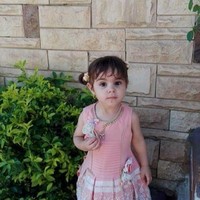 Translator Nehal Mahmoud