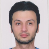 Amin Mohseni Ahouei