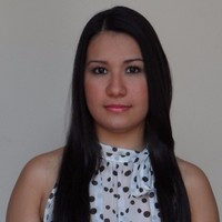 Diana A. Linarez C.